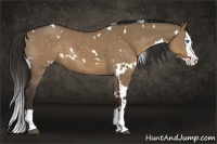 Horse Color:White Spotted Liver Red Dun Splash 