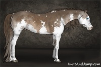 Horse Color:White Spotted Liver Chestnut Splash Rabicano