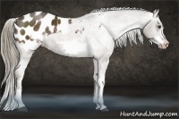 Horse Color:Liver Chestnut Sabino Frame Blanket 