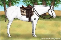 Horse Color:Bay Dun Splash Snowflake Varnish