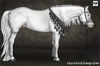 Horse Color:Brown Chinchilla Appaloosa  and Brown Chinchilla Appaloosa 