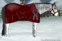 Horse Color:White Spotted Blue Roan Rabicano  and White Spotted Blue Roan Rabicano 