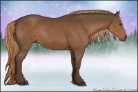 Horse Color:Liver Chestnut Rabicano 