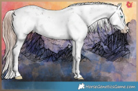 Horse Color:White Spotted Liver Chestnut Ice Sabino Splash 