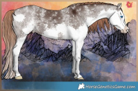 Horse Color:White Spotted Liver Chestnut Ice Sabino Splash 