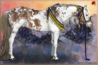 Horse Color:White Spotted Liver Chestnut 