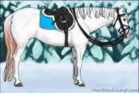 Horse Color:Bay Tobiano Blanket 