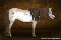 Horse Color:Liver Red Dun Roan Frame 