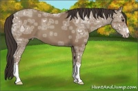 Horse Color:Classic Champagne Ice 