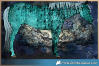 Horse Color:ERROR: UNKNOWN ANOMALY and ERROR: UNKNOWN ANOMALY