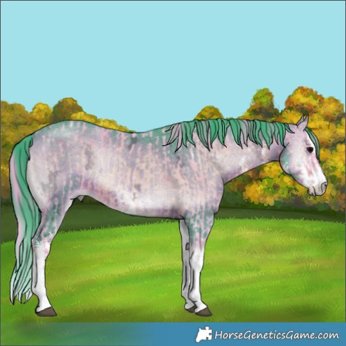 Horse Color:Watercolor White Spotted Brown Ice Onyx  and Watercolor White Spotted Brown Ice Onyx 
