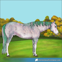Horse Color:Watercolor White Spotted Brown Ice Onyx and Watercolor White Spotted Brown Ice Onyx