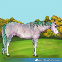 Horse Color:Watercolor White Spotted Brown Ice Onyx and Watercolor White Spotted Brown Ice Onyx