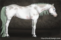 Horse Color:Watercolor Perlino Splash Frame Rabicano