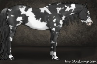 Horse Color:White Spotted Black Frame 