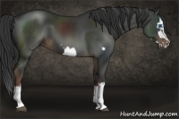 Horse Color:Liver Chestnut Splash Frame 