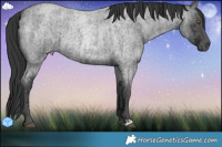 Horse Color:Blue Ice Roan  and Blue Ice Roan 