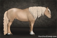 Horse Color:Liver Chestnut Pearl Sabino