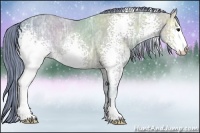 Horse Color:Watercolor White Spotted Buckskin Ice Sabino Rabicano