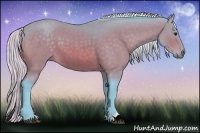Horse Color:Watercolor Silver Bay
