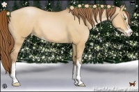 Horse Color:Bay Pearl Dun Sabino 
