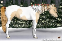 Horse Color:Gold Champagne Pearl Tobiano 