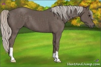 Horse Color:Silver Black 