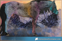 Horse Color:ERROR: UNKNOWN ANOMALY Brindle