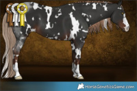 Horse Color:White Spotted Liver Chestnut 