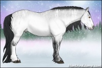Horse Color:Brown Chinchilla Ice