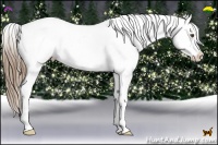 Horse Color:Liver Chestnut Pearl Sabino Appaloosa 