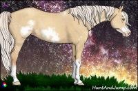 Horse Color:Silver Classic Champagne Dun Sabino Splash Frame