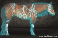 Horse Color:Thunderstruck Chocolate Buckskin  and Thunderstruck Chocolate Buckskin 