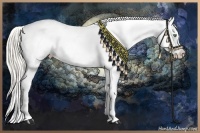 Horse Color:White Spotted Silver Smoky Blue Roan Appaloosa