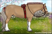 Horse Color:Palomino 