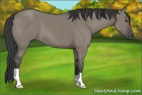 Horse Color:Smoky Grullo