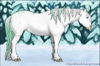 Horse Color:Watercolor Buckskin Sabino Splash