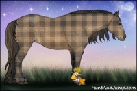 Horse Color:Plaid Buckskin Sabino