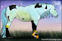 Horse Color:Watercolor Brown Ice Tobiano 