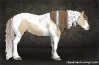 Horse Color:Grullo Pearl Splash Tobiano