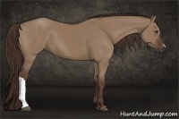 Horse Color:Liver Red Dun 
