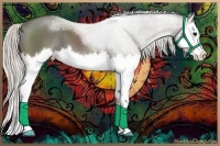 Horse Color:Silver Black Splash 