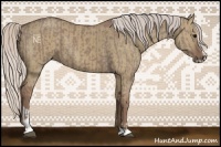 Horse Color:Chocolate Silver Grullo Sabino  and Chocolate Silver Grullo Sabino 