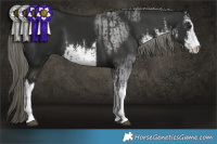 Horse Color:White Spotted Liver Chestnut Mushroom  and White Spotted Liver Chestnut Mushroom 