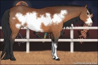 Horse Color:Brown Frame 