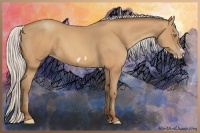 Horse Color:Silver Amber Champagne Frame 