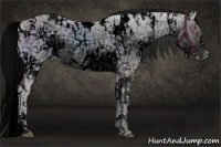 Horse Color:ERROR: UNKNOWN ANOMALY and ERROR: UNKNOWN ANOMALY