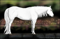 Horse Color:Gray Chestnut Tobiano 