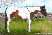 Horse Color:Bay Tobiano 