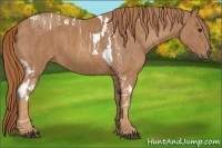 Horse Color:Chestnut Tobiano  Brindle